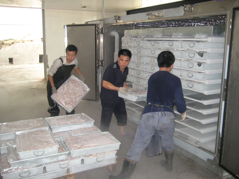 Plate Freezer